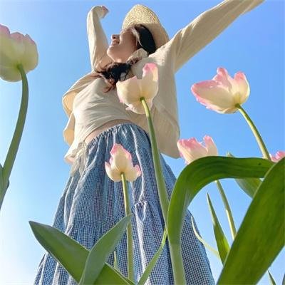 老木逢春